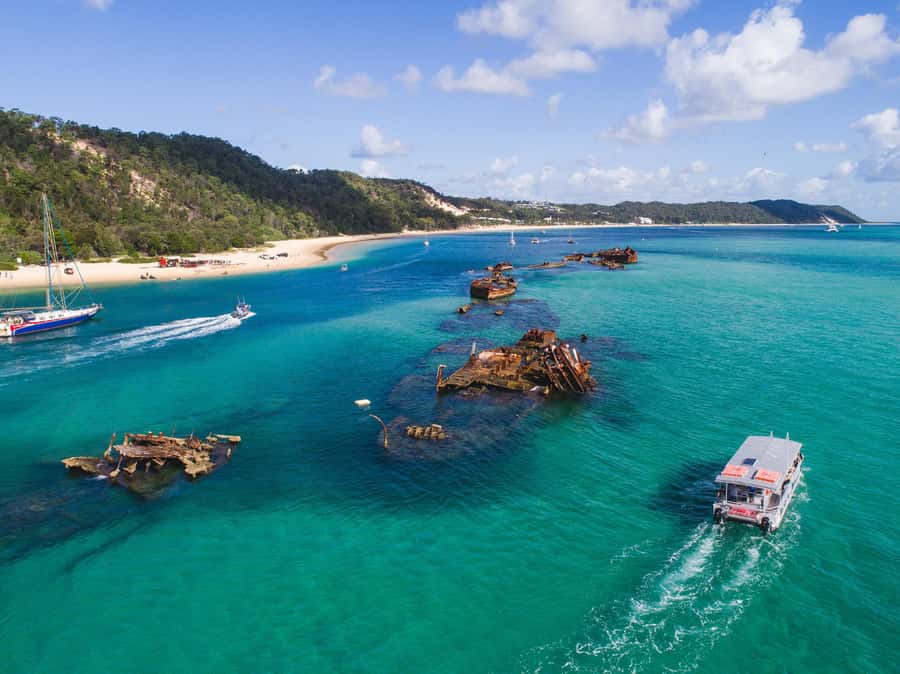 Moreton Island: Tangalooma Snorkeling Tour & Dolphin Feeding - Wild Dolphin Feeding at sunset: how it works ethically, and what can change
