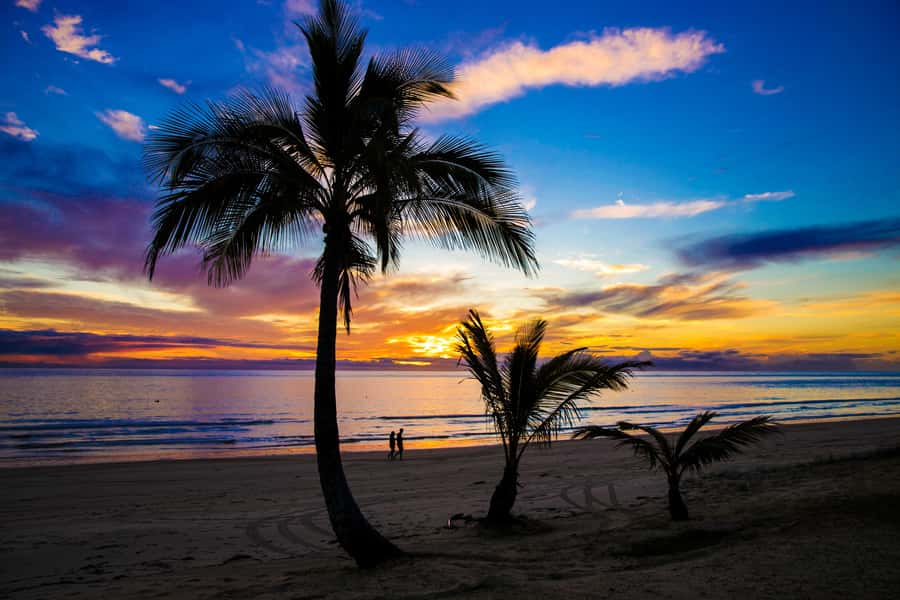 Moreton Island: Tangalooma Snorkeling Tour & Dolphin Feeding - Price and value: what you’re actually getting for $172