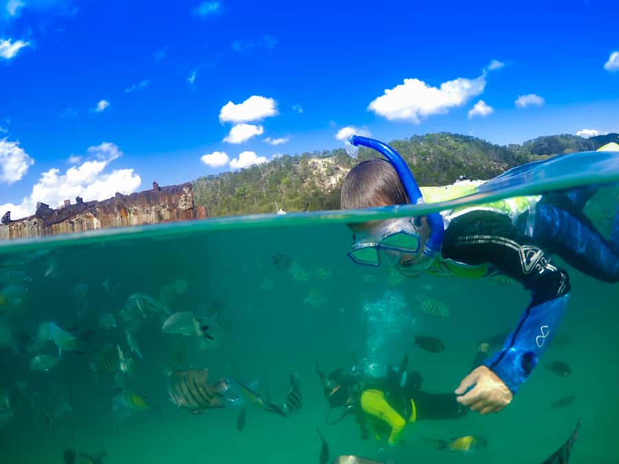 Moreton Island: Tangalooma Snorkelling with Dolphin Viewing - Key highlights to know before you go