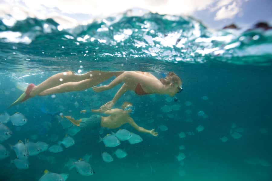 Moreton Island: Tangalooma Snorkelling with Dolphin Viewing - Tangalooma in One Day: How the Brisbane Cruise Sets the Tone