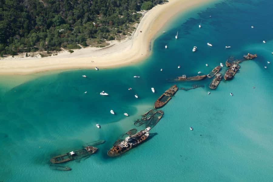 Moreton Island: Tangalooma Snorkelling with Dolphin Viewing - Who This Tour Fits Best, and Who Should Skip It