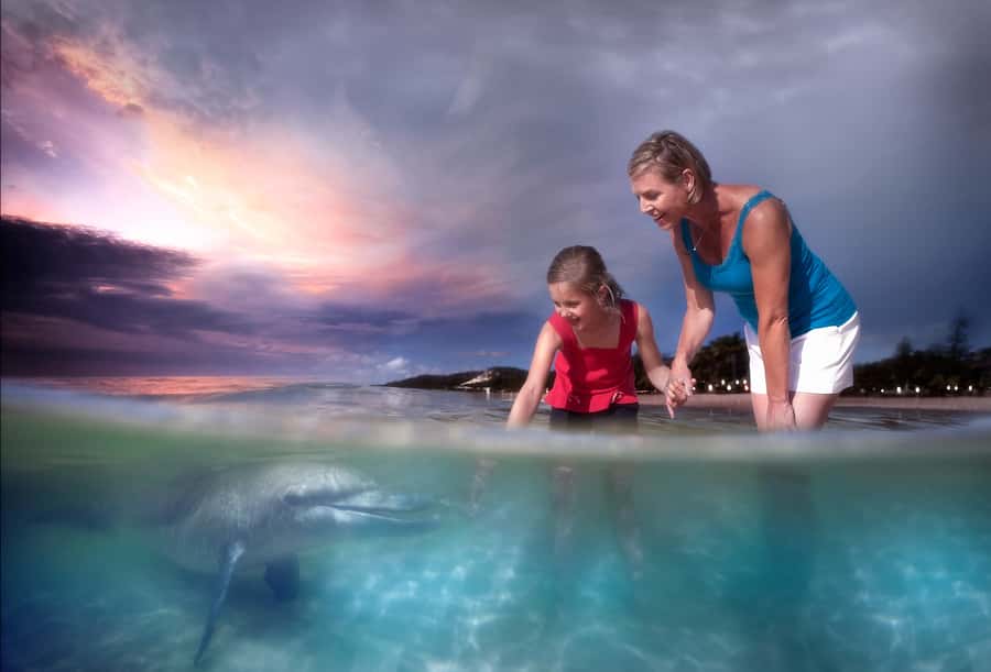 Moreton Island: Tangalooma Whale Watching & Dolphin Feeding - Practical tips that make the day smoother