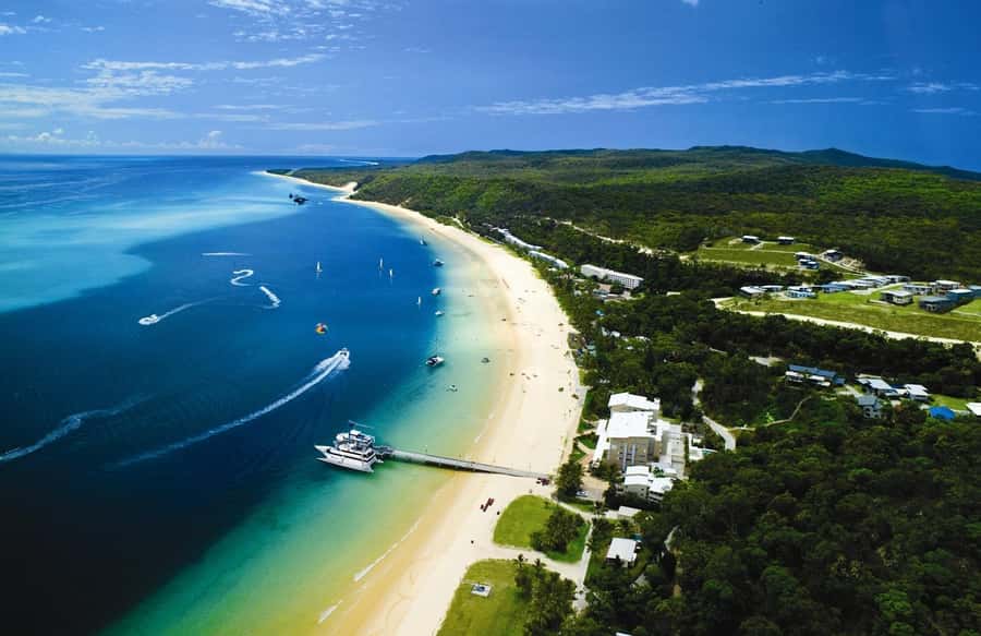 Moreton Island: Tangalooma Whale Watching & Dolphin Feeding - Sunset dolphin feeding, what “wild” really means here
