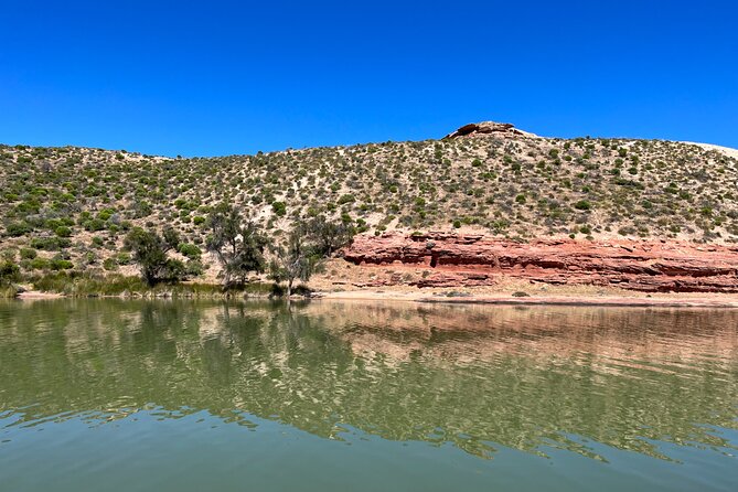 Morning Cruise on the Murchison River in Kalbarri (April to Nov) - A morning on the Murchison River feels calm, not staged