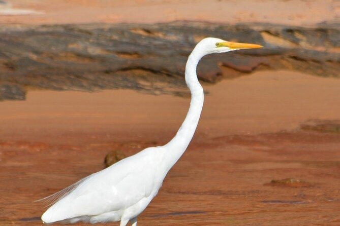 Morning Cruise on the Murchison River in Kalbarri (April to Nov) - Comfort on a small boat: what to pack for April to November