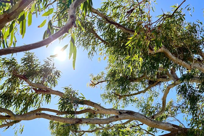 Morning Cruise on the Murchison River in Kalbarri (April to Nov) - Getting on board in Kalbarri, and what the timing really means
