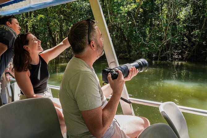 Morning Daintree Tour with River Cruise from Port Douglas - The Mossman Gorge Stream and the Case for Bringing Swimwear