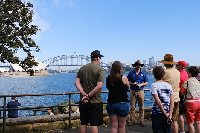 Morning or Afternoon Half-Day Sydney City Sightseeing Tour - The Rocks and CBD to harbour views: seeing Sydney’s timeline at speed