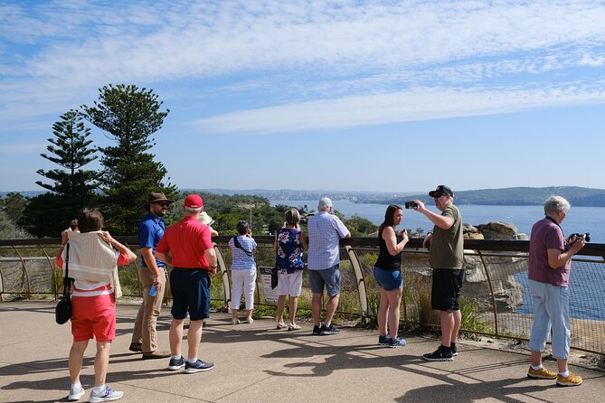 Morning or Afternoon Half-Day Sydney City Sightseeing Tour - Bondi Beach 30 minutes: enough time to feel it, not enough time to live there