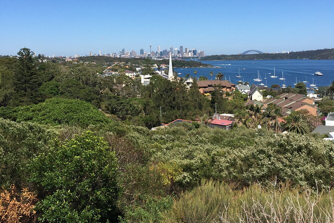 Morning or Afternoon Half-Day Sydney City Sightseeing Tour - Centennial Park, Paddington, and Chinatown: what you gain on the return
