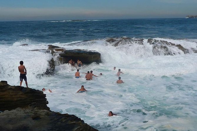 Morning or Afternoon Highlights Tour in Sydney with a Local Guide - Quick Hit Highlights You’ll Actually Remember