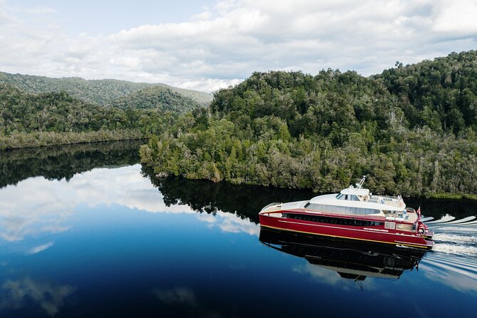 Morning World Heritage Cruise on the Gordon River from Strahan - Key things I’d watch for before you go