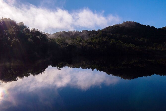 Morning World Heritage Cruise on the Gordon River from Strahan - Franklin-Gordon Wild Rivers boardwalk: UNESCO walking, not a long hike