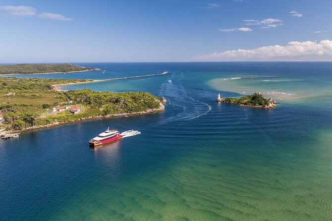 Morning World Heritage Cruise on the Gordon River from Strahan - Catamaran comfort, seating choices, and what to pack