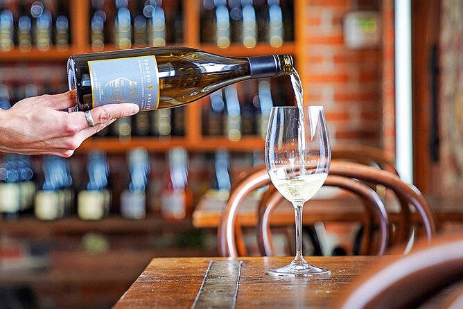 Mornington Peninsula Boutique Wine and Lunch Small Group Tour - Arthur’s Seat: easy guided walk, big Port Phillip Bay payoff