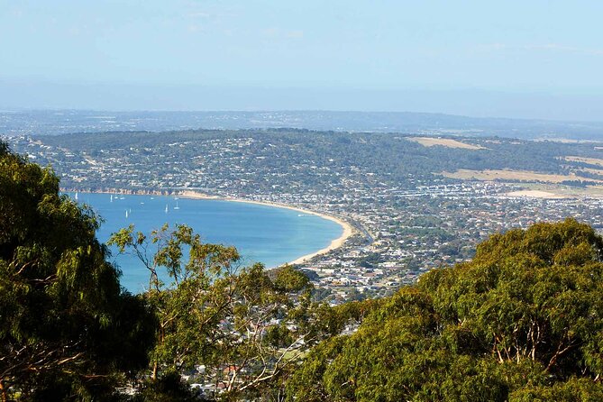 Mornington Peninsula Boutique Wine and Lunch Small Group Tour - Trofeo Estate and terracotta amphora aging you can taste