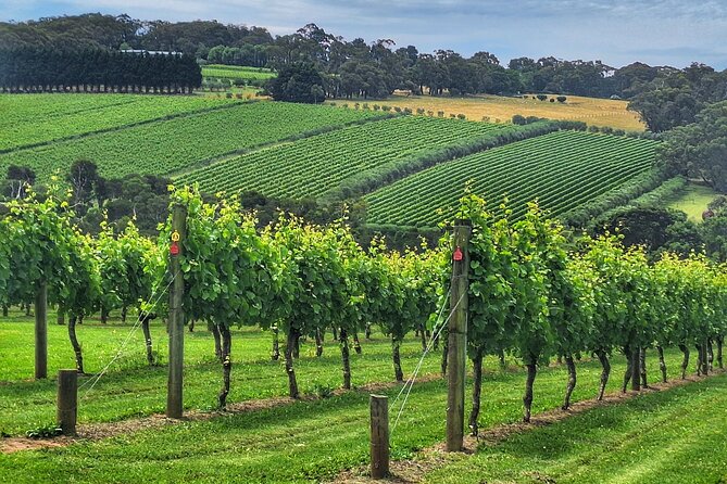 Mornington Peninsula Day Tour. Your Day Your Way. Your group only - Quick hits before you go