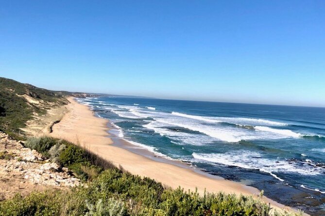 Mornington Peninsula Day Tour. Your Day Your Way. Your group only - Stop 1: Mornington Peninsula coastline and national park scenery