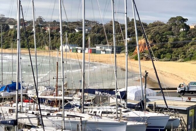 Mornington Peninsula Day Tour. Your Day Your Way. Your group only - Stop 3: Arthurs Seat State Park, Port Phillip Bay views