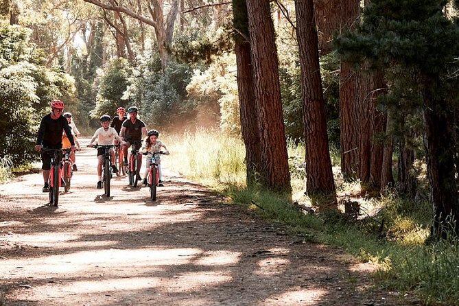 Mornington Peninsula guided e-bike tour - Key Things to Know Before You Go