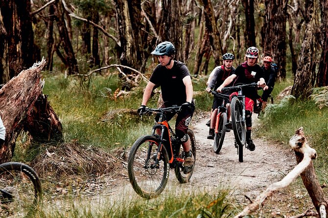 Mornington Peninsula guided e-bike tour - Price and Value: Is $88.28 Worth It?