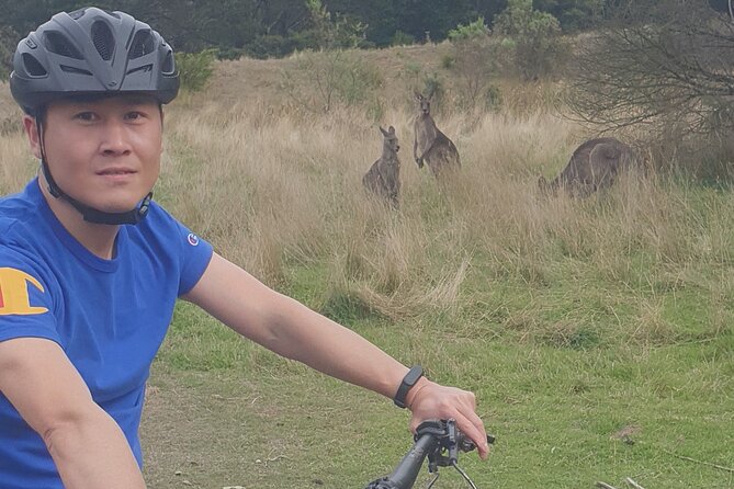 Mornington Peninsula guided e-bike tour - Timing, Weather, and How to Avoid a Bad Day