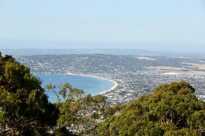 Mornington Peninsula Sightseeing and Bay Cruise - Queenscliff time and how the ferry fits the day