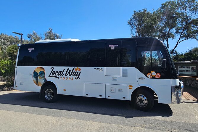 Mornington Peninsula Small Group Thermal Springs w/ Lunch & Wine - Arthurs Seat at 305m: guided walk plus a serious view