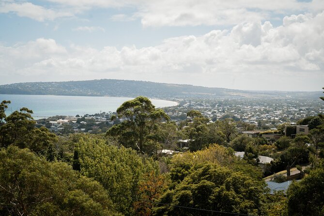 Mornington Peninsula Small Group Thermal Springs w/ Lunch & Wine - Green Olive at Red Hill: lunch, grazing, and a personalized wine paddle