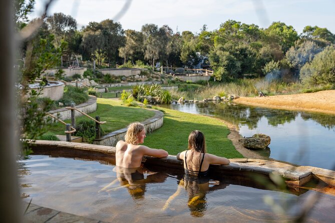 Mornington Peninsula Small Group Thermal Springs w/ Lunch & Wine - Morning coffee and Port Phillip Bay color before you climb
