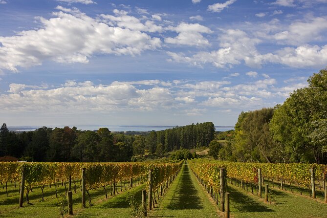 Mornington Peninsula Wine Day Tour - Stop-by-stop on the Peninsula: Yabby Lake to Ten Minutes by Tractor