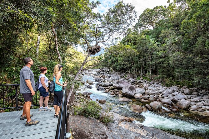 Mossman Gorge Adventure Day - Why Mossman Gorge Feels Different Than a Typical Daintree Day