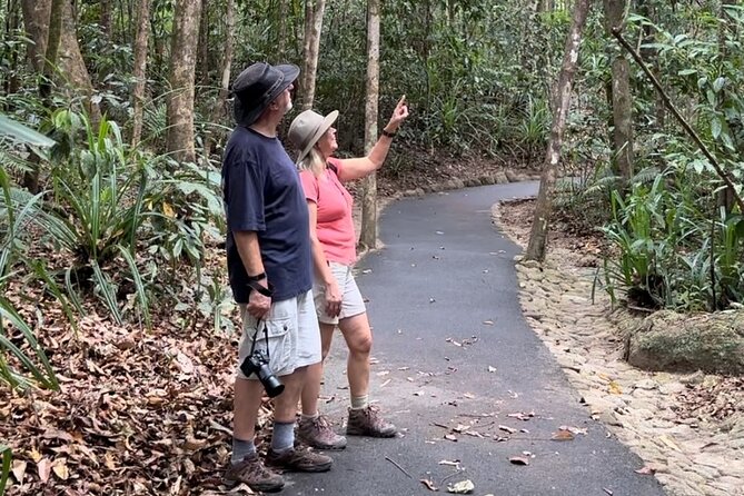 Mossman Gorge Daintree Experience Small Groups - Quick hits before you go