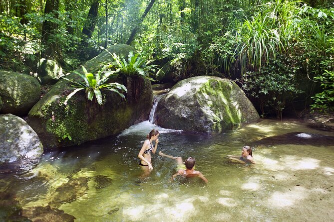 Mossman Gorge Daintree Experience Small Groups - Why this Daintree and Mossman Gorge day works as a small group
