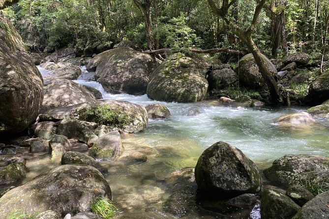 Mossman Gorge Daintree Experience Small Groups - Daintree Village and lunch at the Tea House
