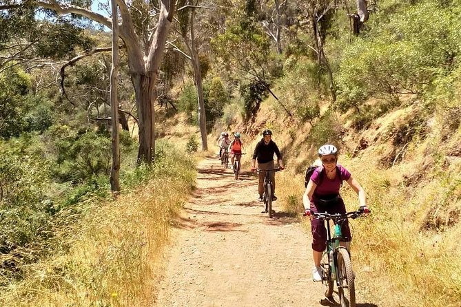 Mount Lofty Descent Bike Tour from Adelaide - A Half-Day Downhill From Mt Lofty to Adelaide
