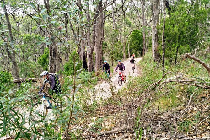 Mount Lofty Descent Bike Tour from Adelaide - The Terrain Reality: “Gentle” Still Means Off-Road Handling