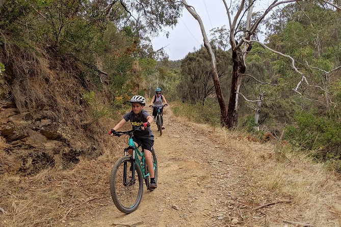 Mount Lofty Descent Bike Tour from Adelaide - Who This Tour Is Best For (and Who Should Think Twice)