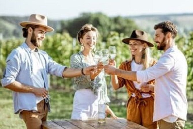 Mount Tamborine Deluxe Wine Tasting with Two Course Lunch - Key highlights at a glance