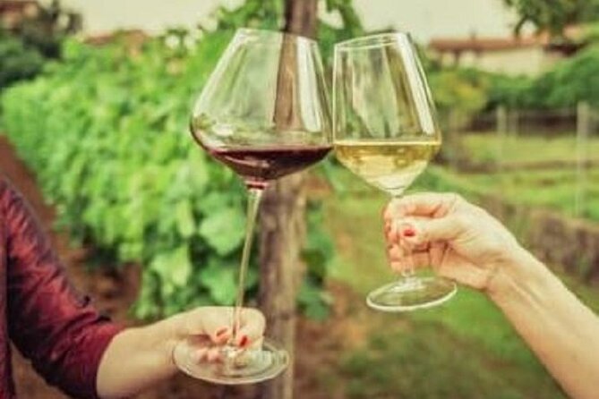 Mount Tamborine Deluxe Wine Tasting with Two Course Lunch - Stop 4, Robert Sowter Park Monument: a photo stop with hang-gliders overhead