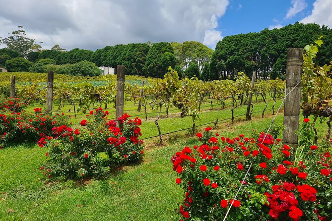 Mount Tamborine Wine Tasting Tour from Brisbane or the Gold Coast - The lunch that sets the tone: 2 courses with winery views