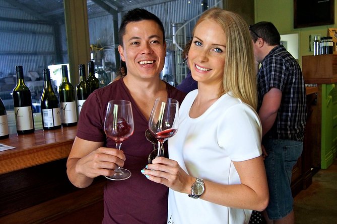 Mount Tamborine Wine Tasting Tour from Brisbane or the Gold Coast - Guide energy matters, and it shows up in the comments