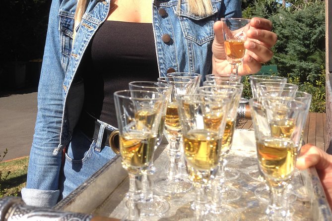 Mount Tamborine Wine Tasting Tour from Brisbane or the Gold Coast - Who this tour fits best, and who should rethink