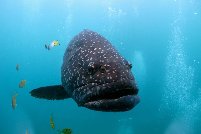 Muiron Islands Snorkeling in Exmouth - Where Muiron Islands fits on your Ningaloo plan
