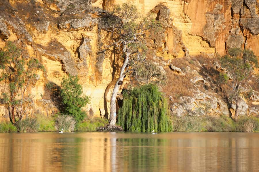 Murray River Highlights and Luncheon Cruise - Lunch on board: included, but plan your expectations