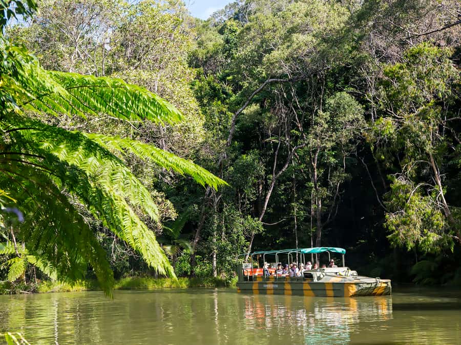 N. Queensland: Kuranda Rainforest Full-Day Tour - Why Kuranda Feels Like More Than a Theme Park