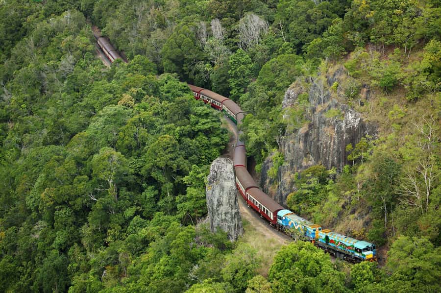 N. Queensland: Kuranda Rainforest Full-Day Tour - The Big Two Views: Kuranda Scenic Railway and Skyrail Cableway