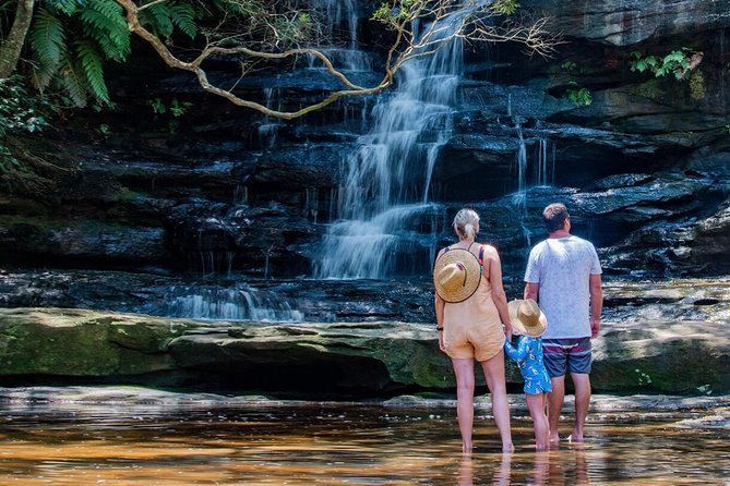 Nature and Wildlife: Australia in One Day - Private Tour - Berowra Valley National Park bushwalk and Aboriginal carvings
