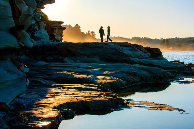 Nature and Wildlife: Australia in One Day - Private Tour - Mount White, Saddles Restaurant, and the beach-town shift