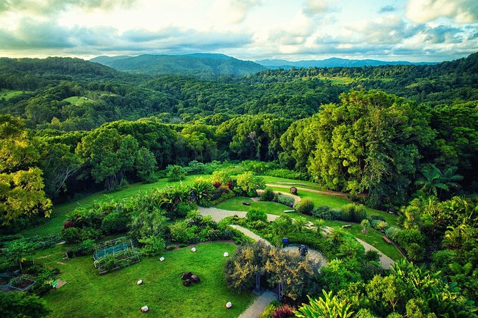 Near Gold Coast: Crystal Castle Admission Ticket - Key highlights worth planning around